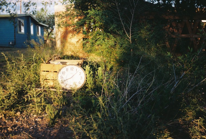 clock in the garden